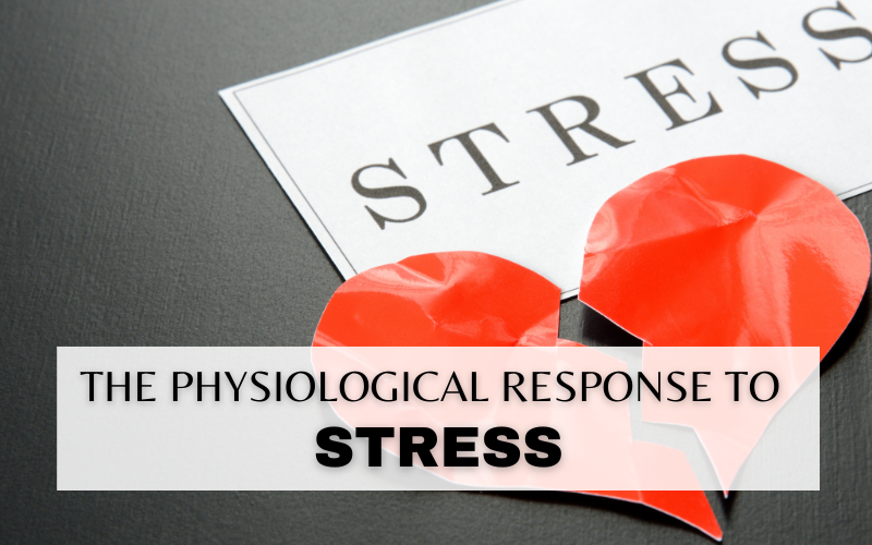 THE PHYSIOLOGICAL RESPONSE TO STRESS