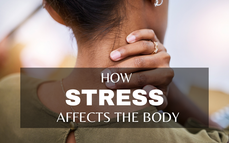 WHAT’S HAPPENING IN YOUR BODY WHEN YOU’RE STRESSED
