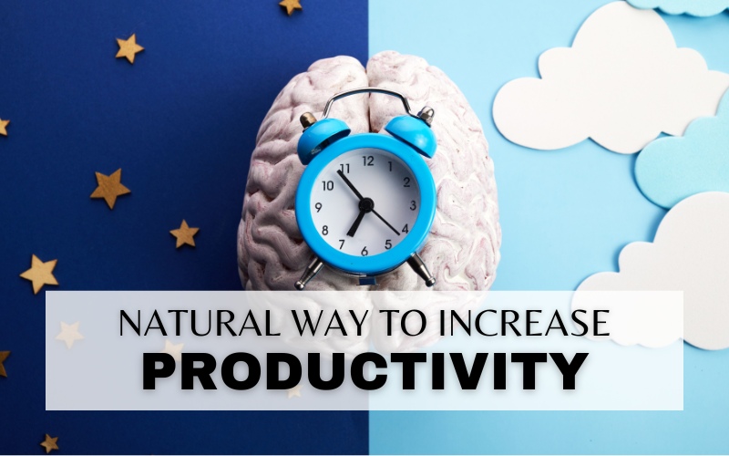 HOW TO HACK YOUR BIOLOGY TO INCREASE PRODUCTIVITY